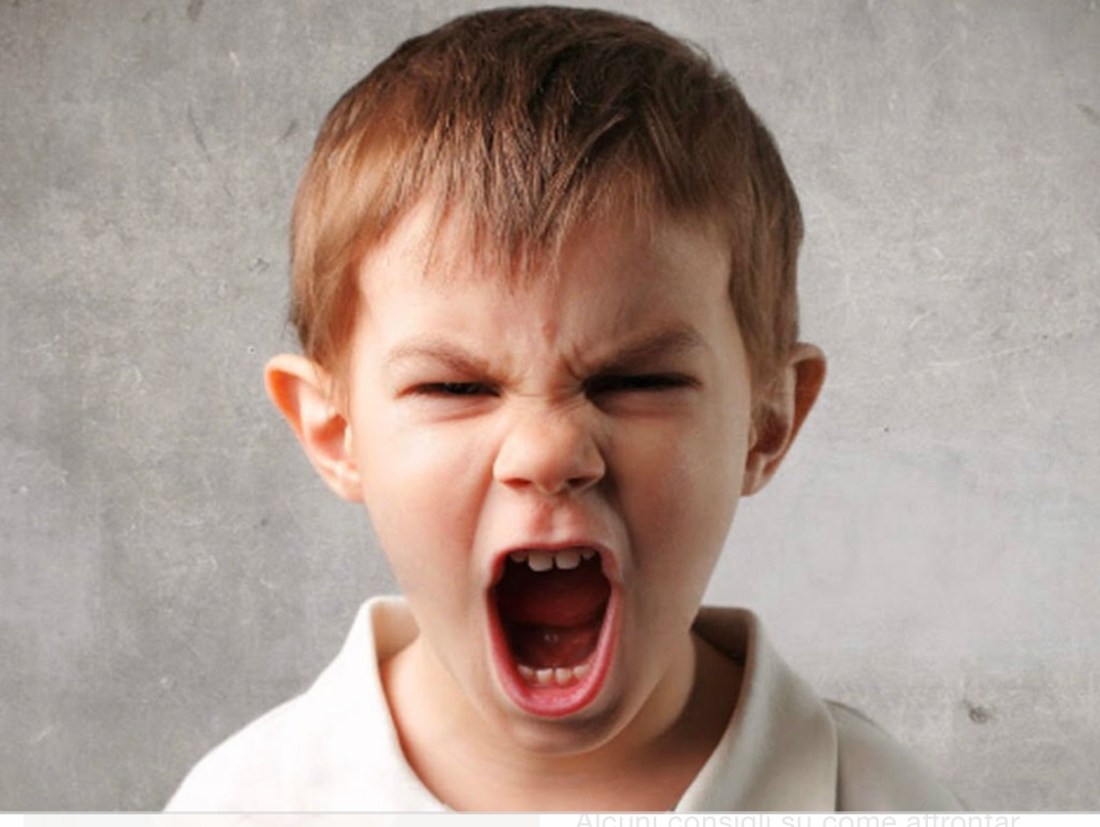 3216E211-B2E1-4235-9F6A-AD9758862CB4